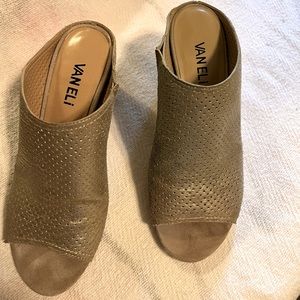 Beautiful and elegant shoe